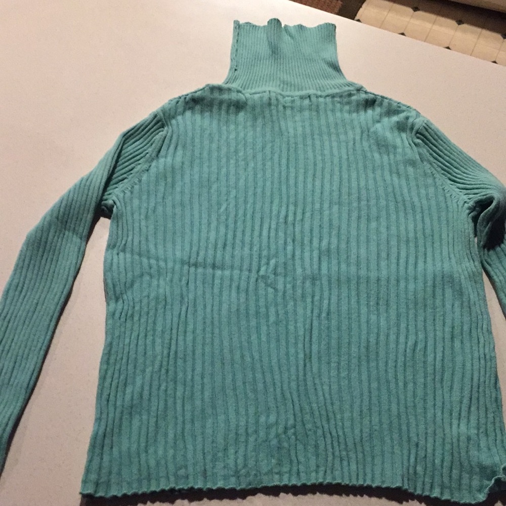 Express Turtle Neck - Picture 2 of 3